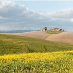 Perché scegliere la campagna toscana in primavera