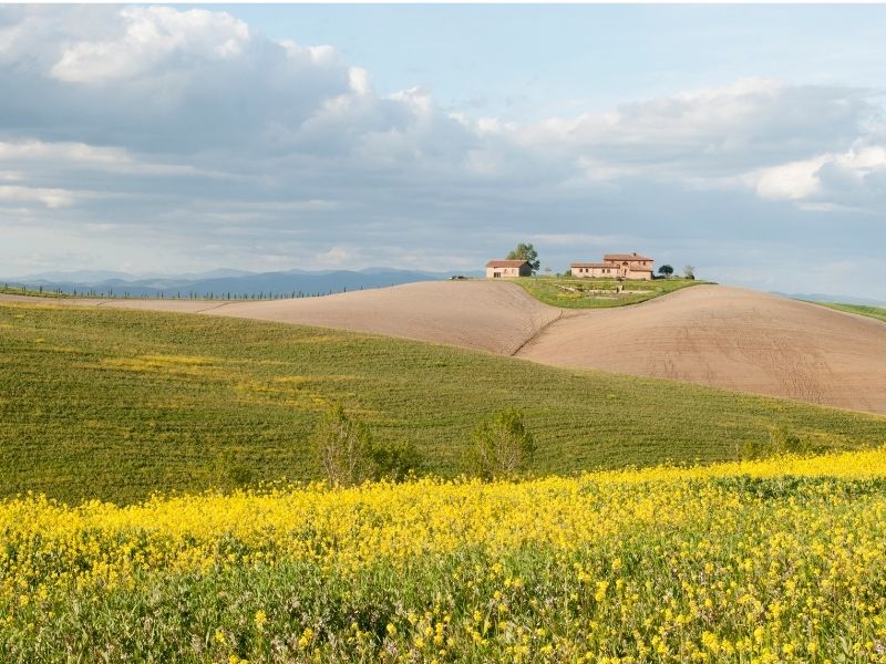 Perché scegliere la campagna toscana in primavera