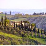 Colline Toscane